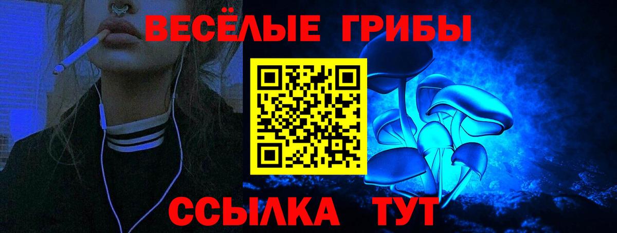 Псилоцибиновые грибы мицелий Верхняя Салда